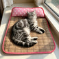 Cooling Pet Mat with Pillow, Rattan Mat for Cats and Dogs