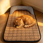 This checkerboard summer cat bed is so comfy for lying flat!