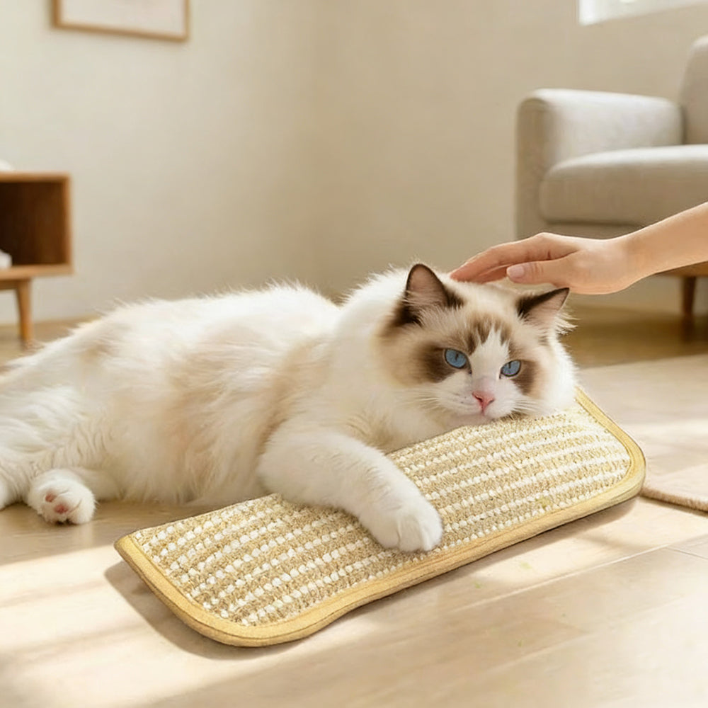 Natural Catnip-filled Chew Pillow, Wear-resistant Hemp-texture Cat Toy for Boredom Relief